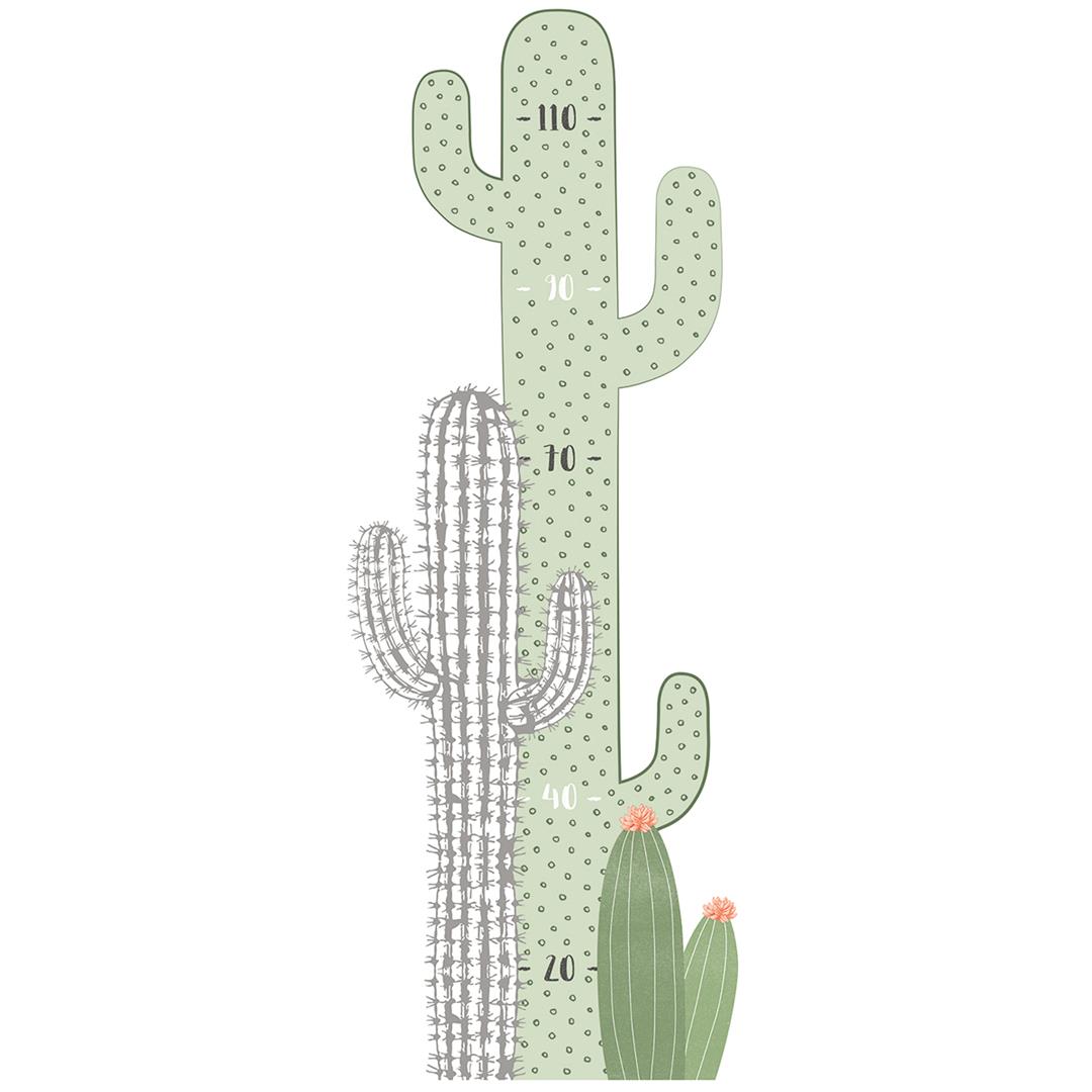 S1298_TOI cactus